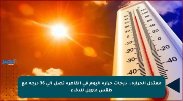 معتدل الحرارة.. درجات حرارة اليوم في القاهرة تصل إلى 36 درجة مع طقس مائل للدفء